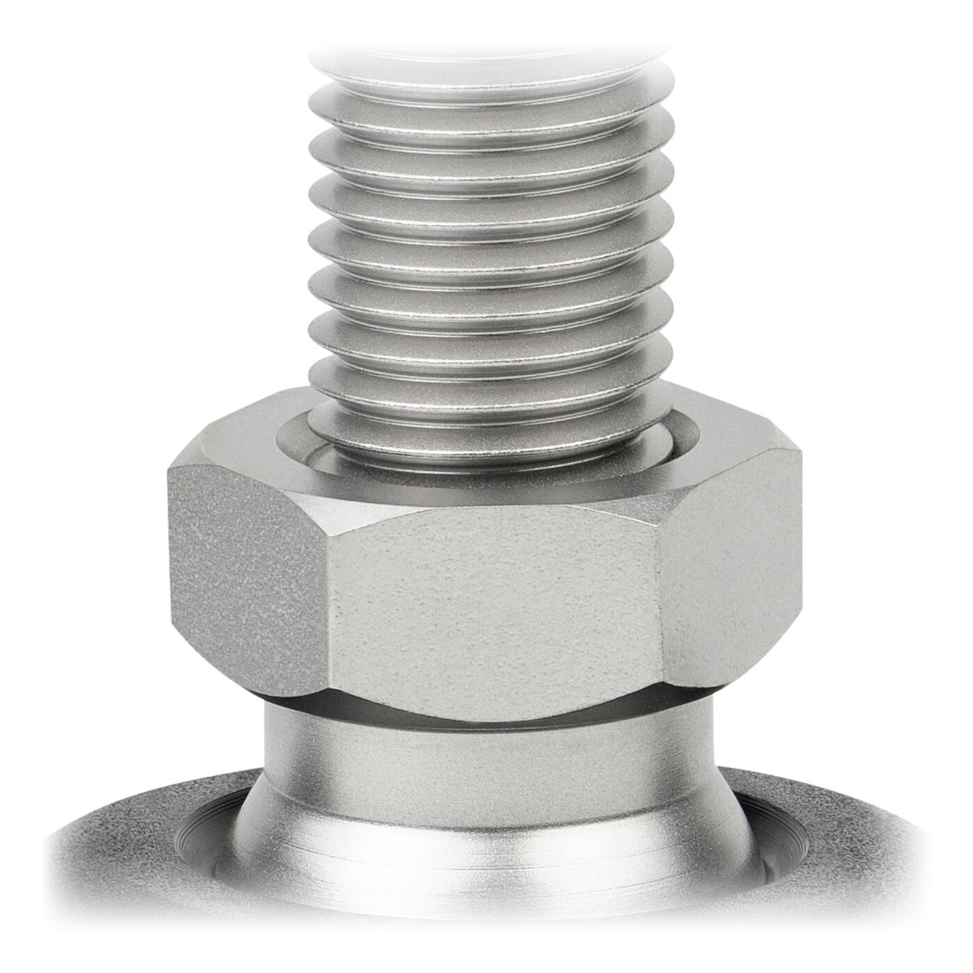 detailed view of a pendulum-action hexagonal spanner flat ball joint made of stainless steel and screwed-in levelling screw, placed in a black composite material corpus, isolated on white background